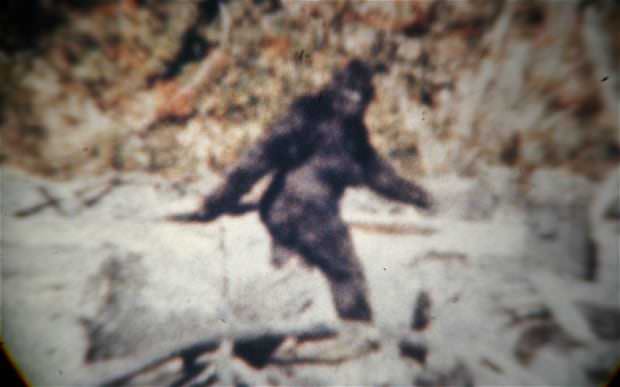 Yeti Persisted