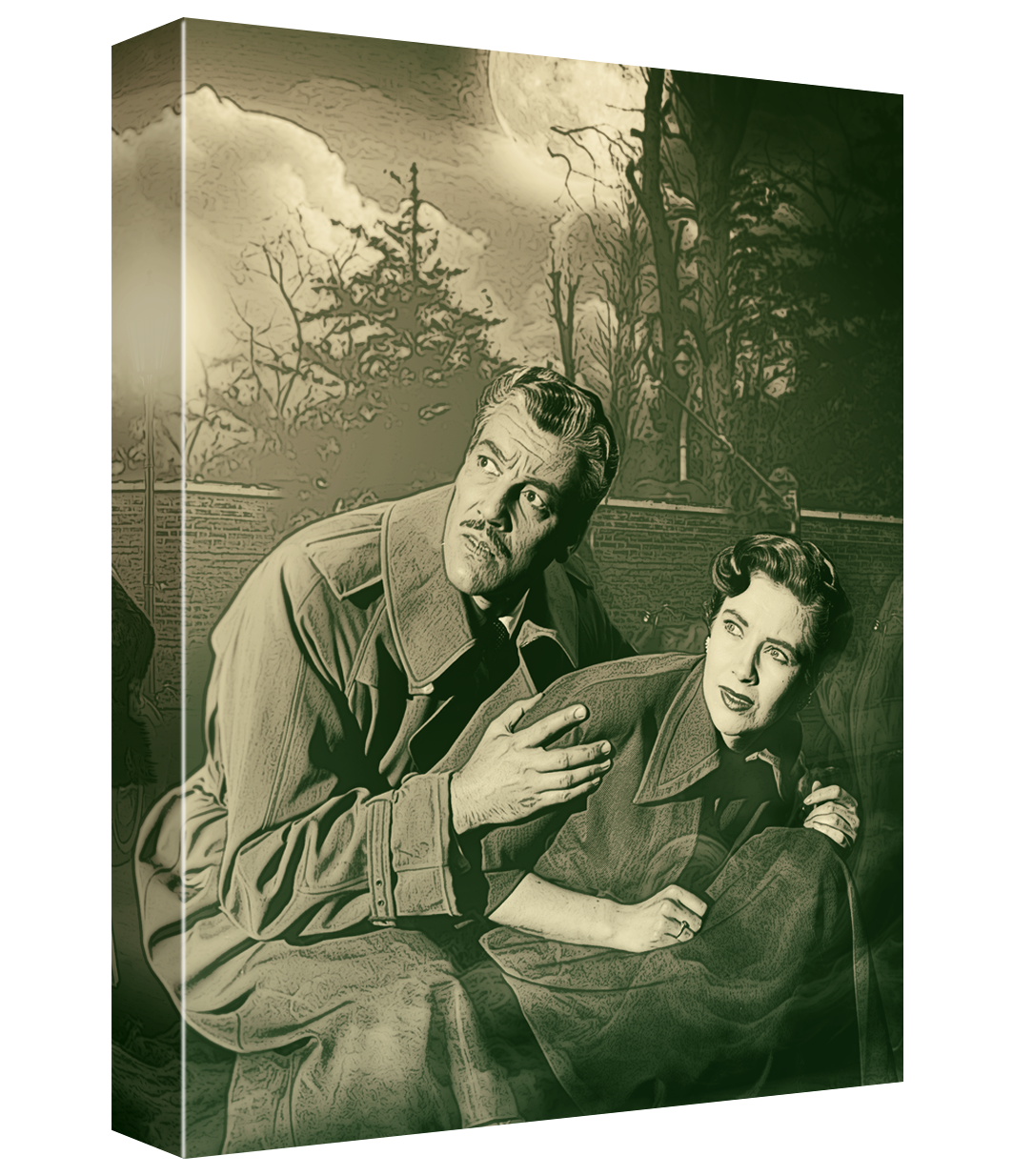Lady in the Fog Limited Collector's Edition
